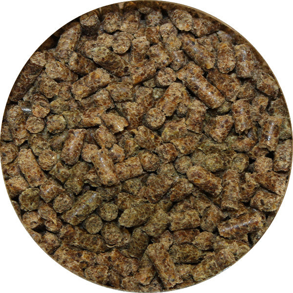 Soucy molded perfo horse cubed