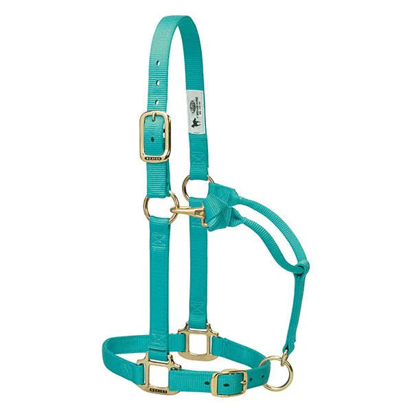 Weaver Original Adjustable 1 Inch Nylon Halter Mint, Average