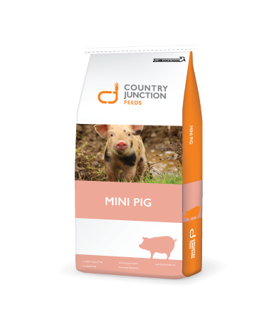 Country Junction Mini Pig Maintenance Molded 20 kg