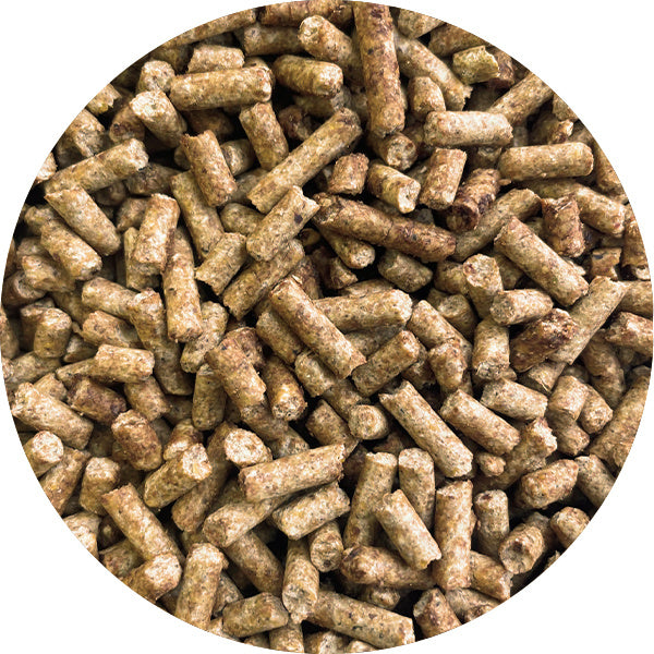 Soucy Molassed Goat Cheese 25 kg