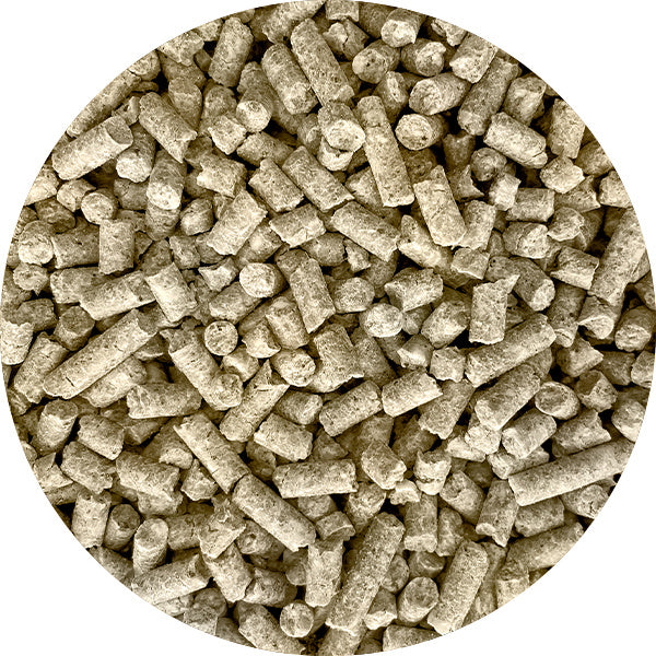 Soucy Lamb growth feed 16% - cubed molasses 25 kg