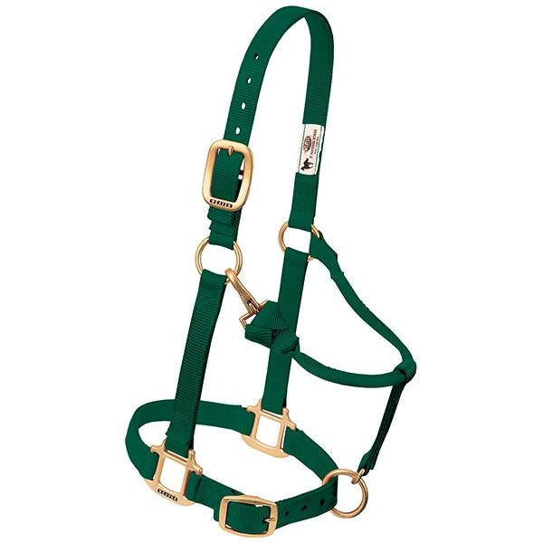 Weaver Original Adjustable 1 Inch Nylon Halter Teal, Average