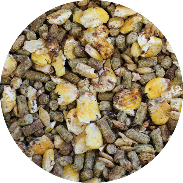 Soucy Early Veal Molded 21% - Textured 25kg