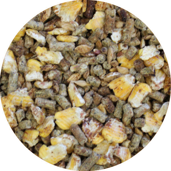 Soucy Minotaur Growth Feed 18% - textured 40 kg