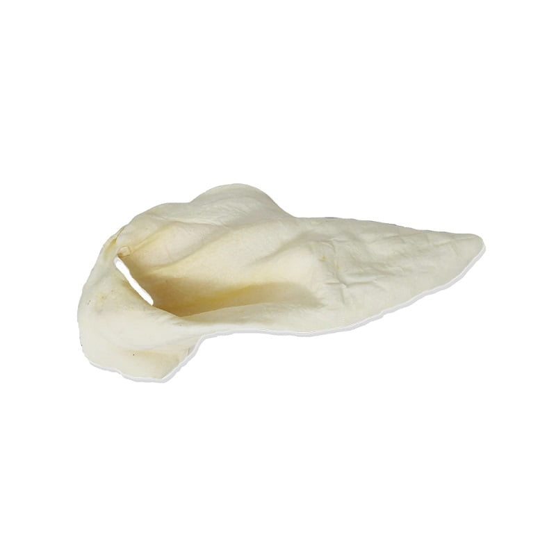 Large Cow Ear