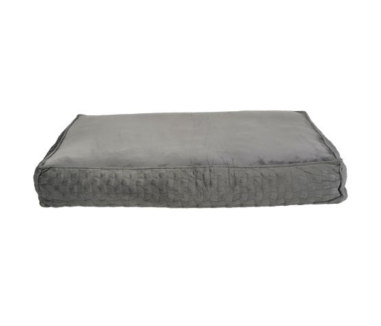 Bud'z Lit plat cosmos gris