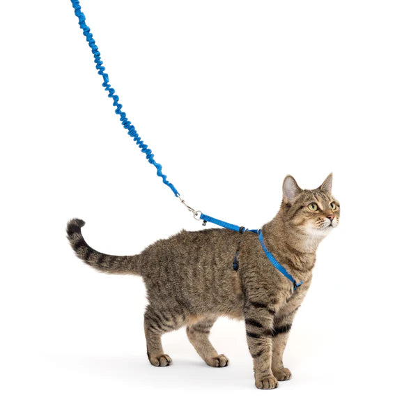 Pet Safe Harnais Chat Bleu, Moyen