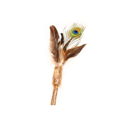 Define Planet Jouet Pour Chat, Plumes De Paon Sur Baguette De Matatabi - Sabots et Museaux