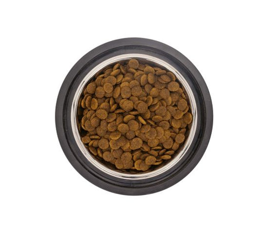 Gabo Nourriture Pour Chien & Chiot, Peau & Pelage, Agneau Et Riz 8lb