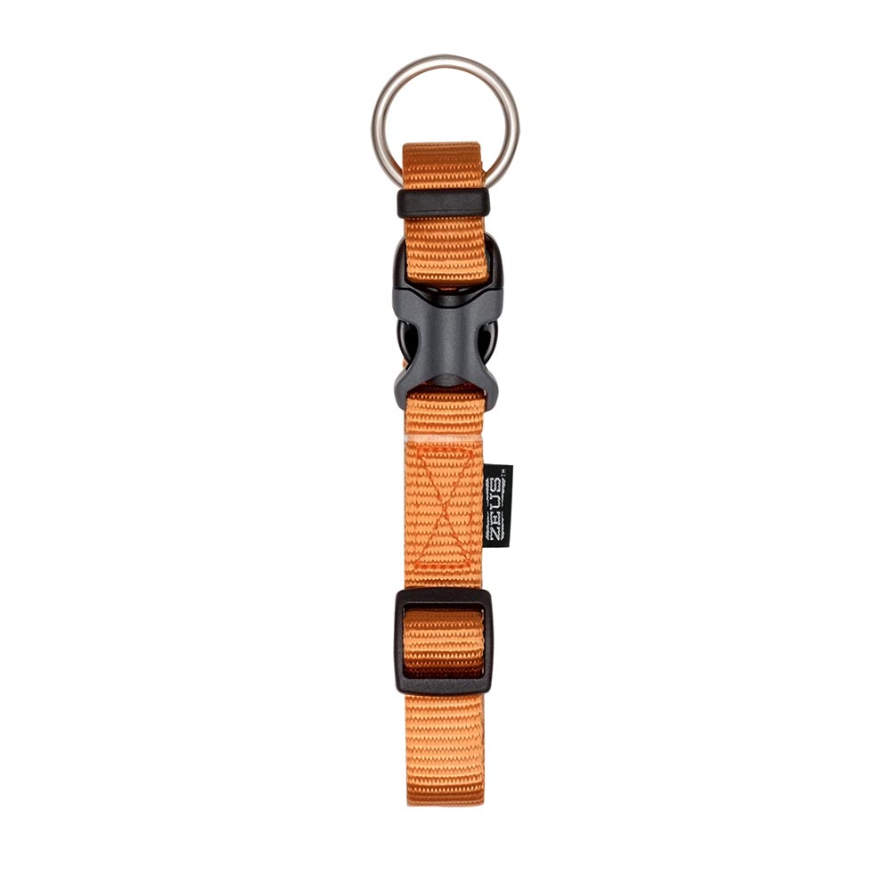 Zeus Collier Tangerine Petit