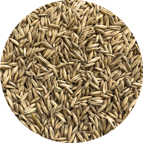 Soucy Avoine Ronde (sur commande)