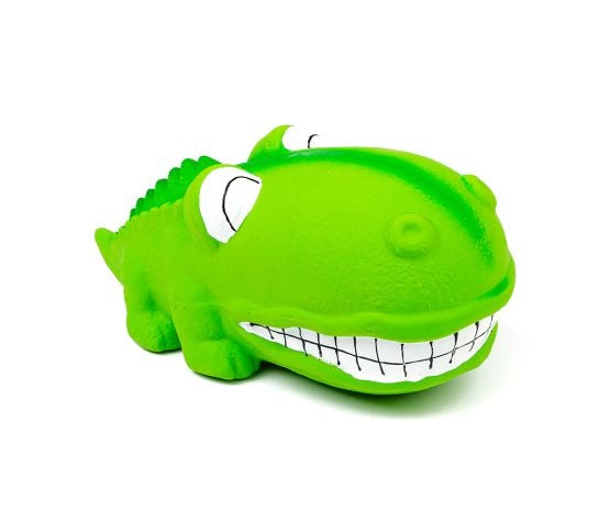 Squeaker big snout green alligator