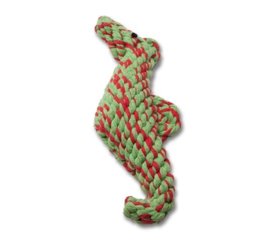 Define Planet Cindy the Seahorse