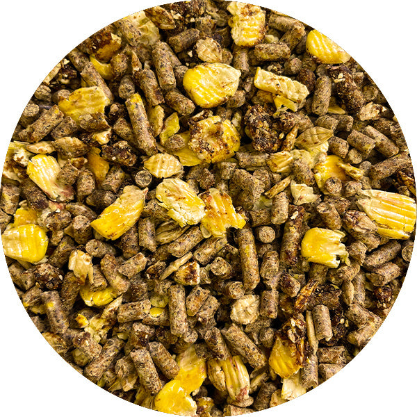 Soucy Dairy Feed 16% SU - Textured 25 kg