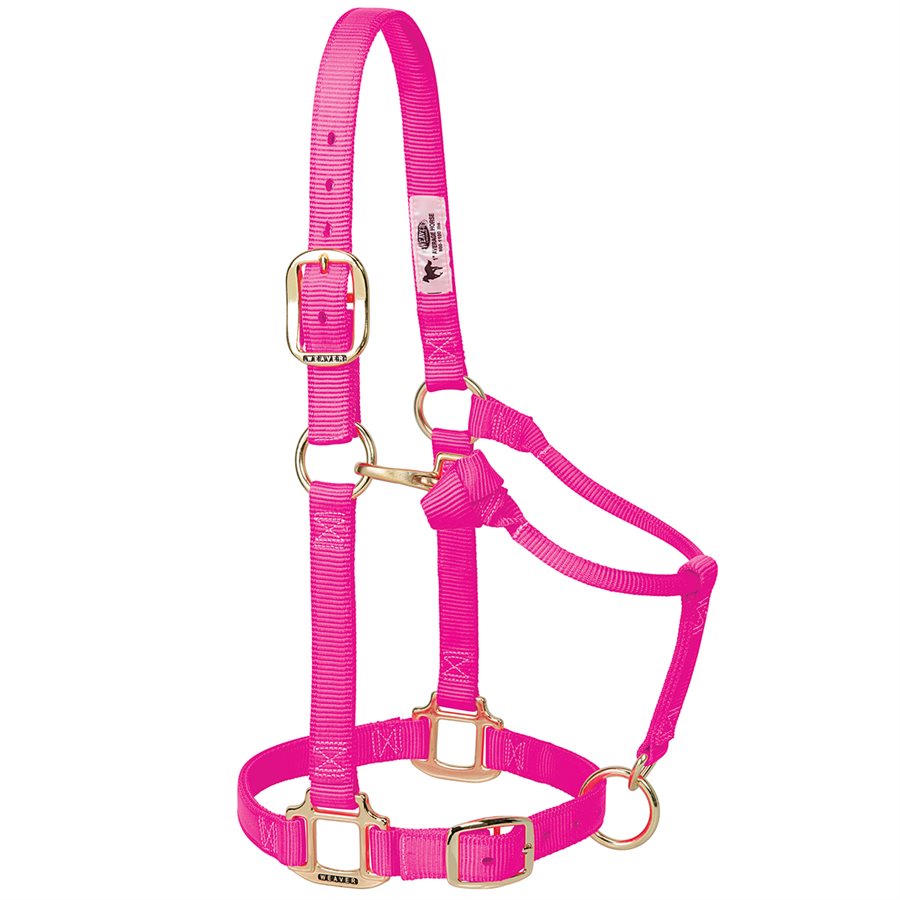 Weaver Original Adjustable 1 Inch Nylon Halter Intense Pink, Small