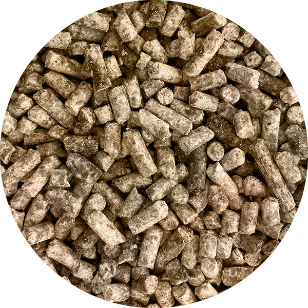 Soucy Sheep Feed 16% Cubed Molasses 25kg