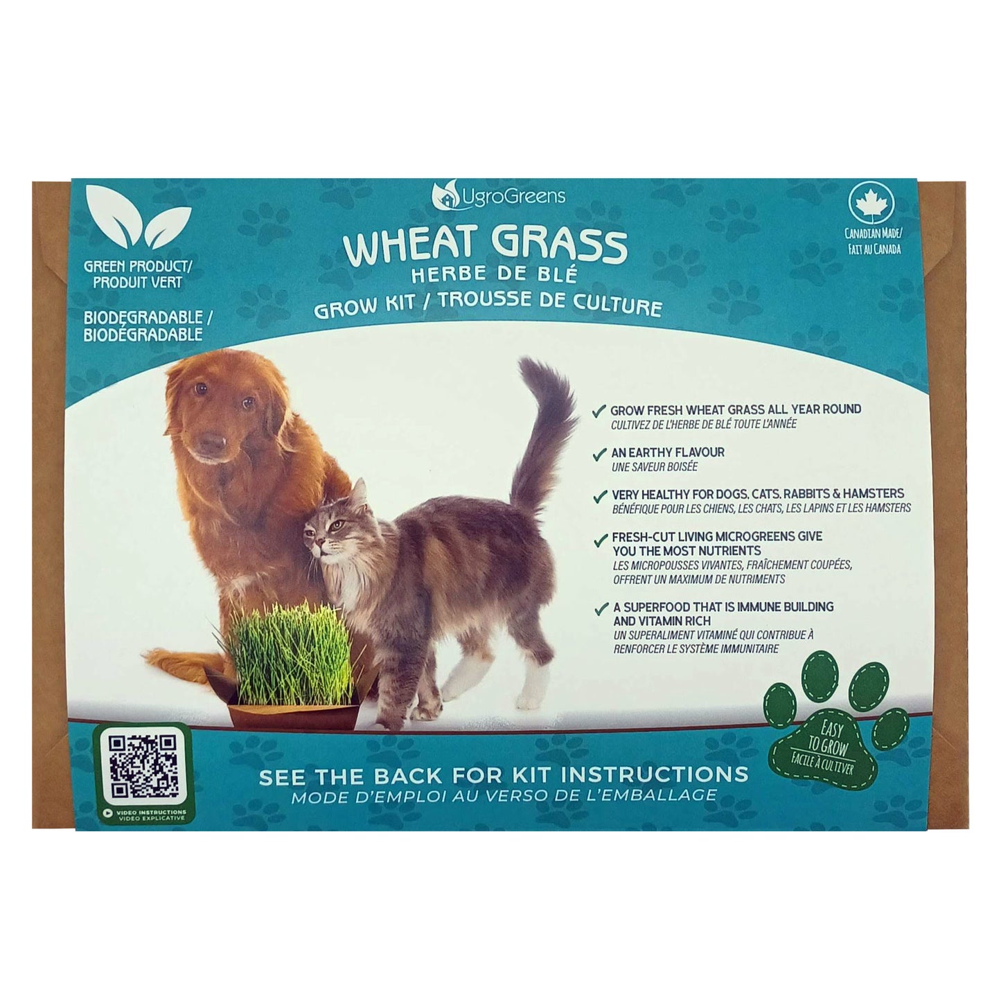Wheatgrass Grow Kit