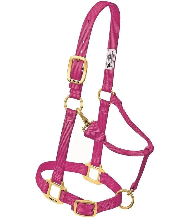 Weaver Original Adjustable 1 Inch Nylon Halter Raspberry, Small