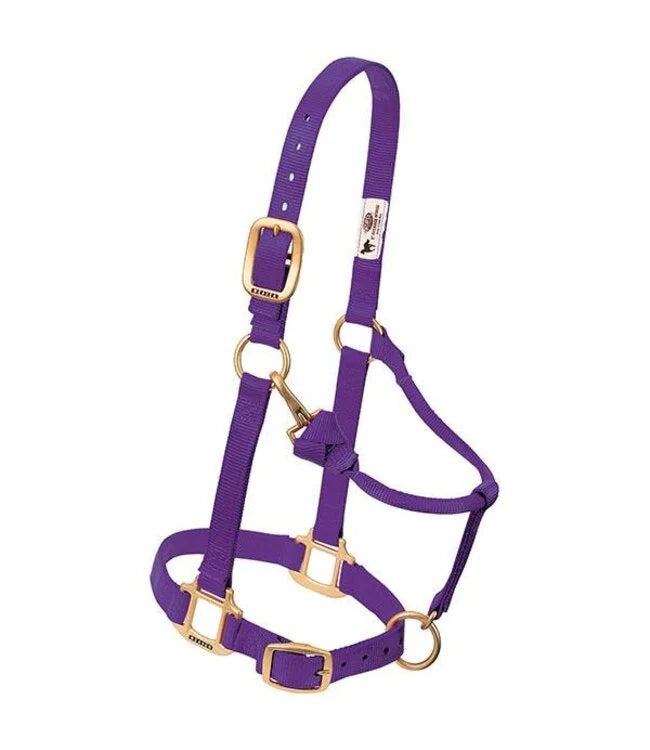 Weaver Original Adjustable 1 Inch Nylon Halter Purple, Average