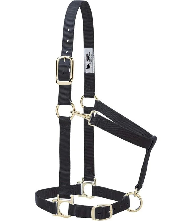 Weaver Original Adjustable 1 Inch Nylon Halter Black, Average