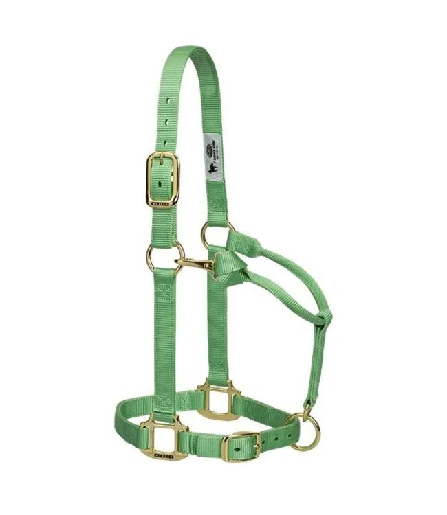Weaver Original Adjustable 1 Inch Nylon Halter Pistachio, Average