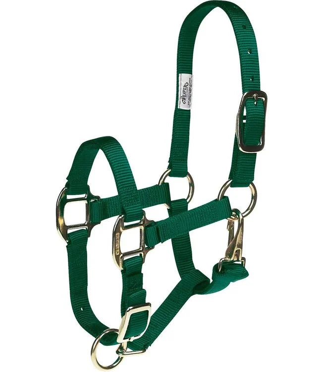 Weaver Original Adjustable 1 Inch Nylon Halter Forest Green, Average