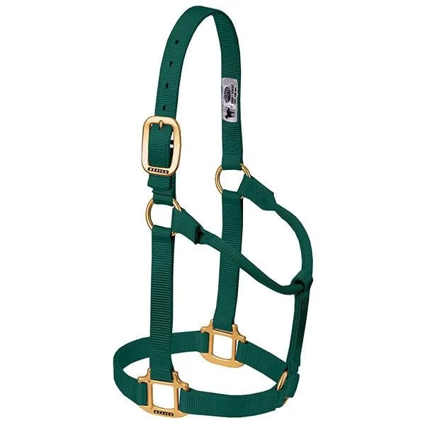 Weaver Original Adjustable 1 Inch Nylon Halter Forest Green, Large