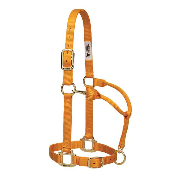 Weaver Original Adjustable 1 Inch Nylon Halter Mustard, Average
