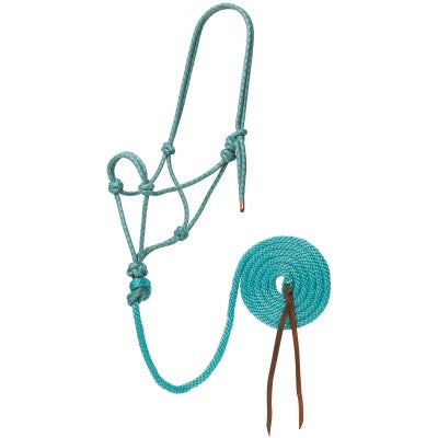 Weaver Licou en corde avec laisse Turquoise/Brun/Tan