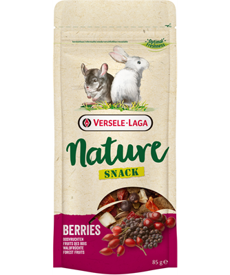 Nature snack berries