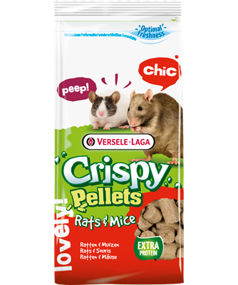 Crispy Food for rats &amp; mice