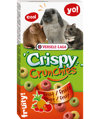 Crispy Fruit Crunchies