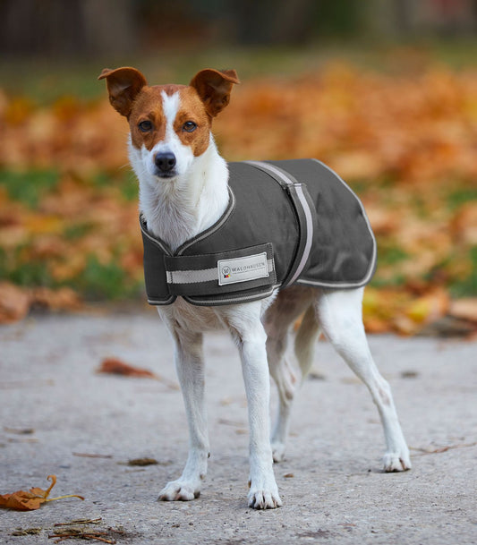 Waldhausen Manteau pour Chien Doublé Asphalte 17"