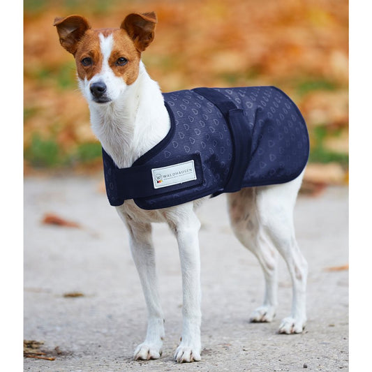 Waldhausen Manteau pour Chien Coeur Argent 21''