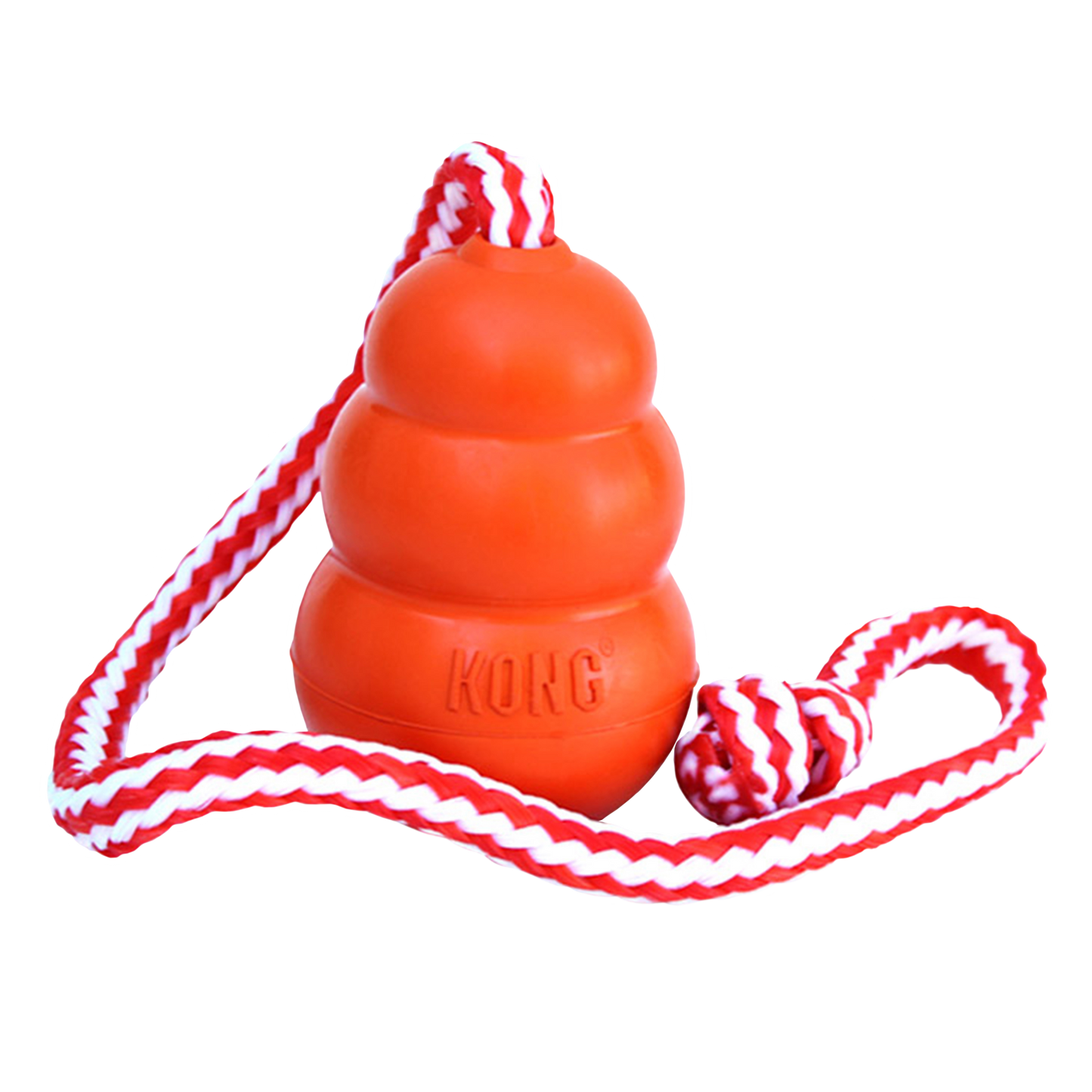 Kong aqua avec corde moyen