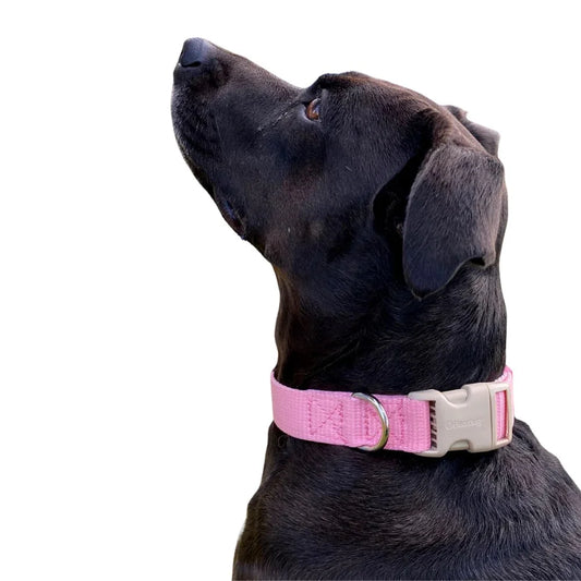 Bugi Collier Nylon Rose Pâle & Beige