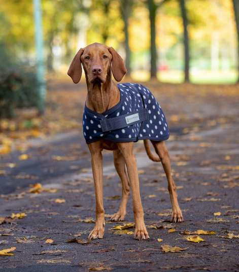 Waldhausen Manteau pour Chien Dotti Navy 14"