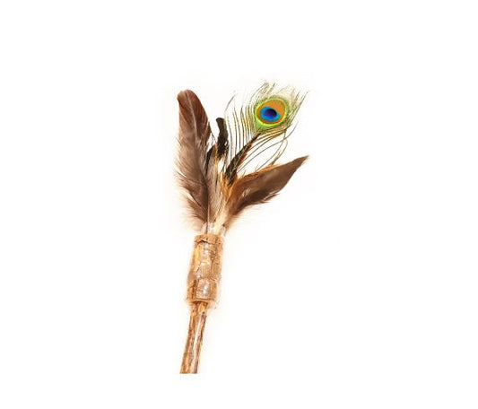 Define Planet Jouet Pour Chat, Plumes De Paon Sur Baguette De Matatabi - Sabots et Museaux