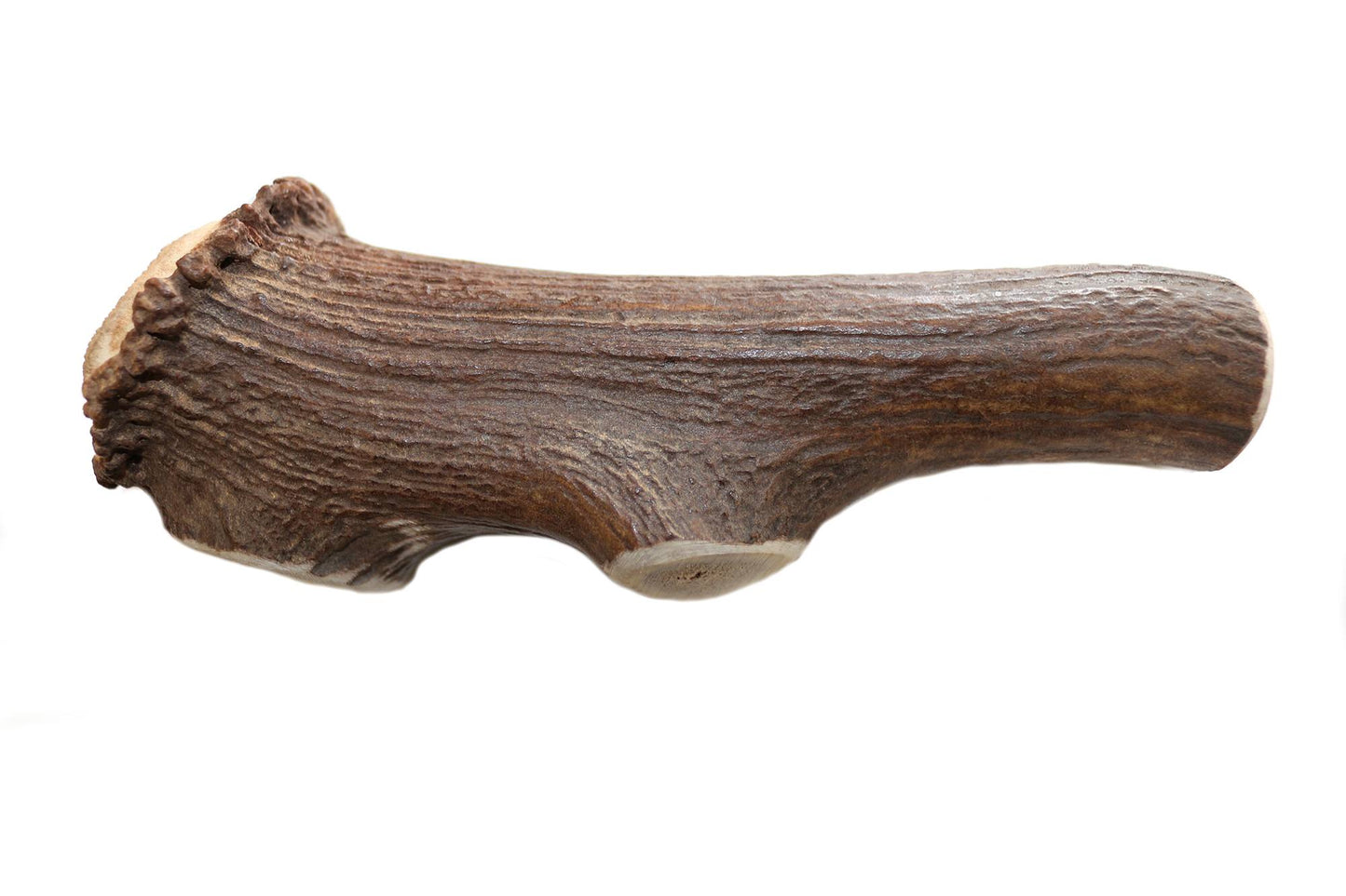 Dentler Bois de Cervidés Goût Nature Sauvage Très Très Grand