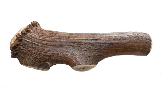 Dentler Bois de Cervidés Goût Nature Sauvage Très Très Grand