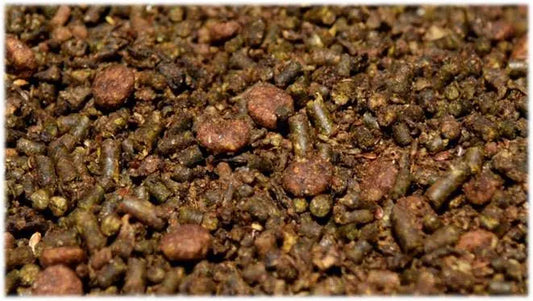 Brooks Eee Pro Plus 25kg