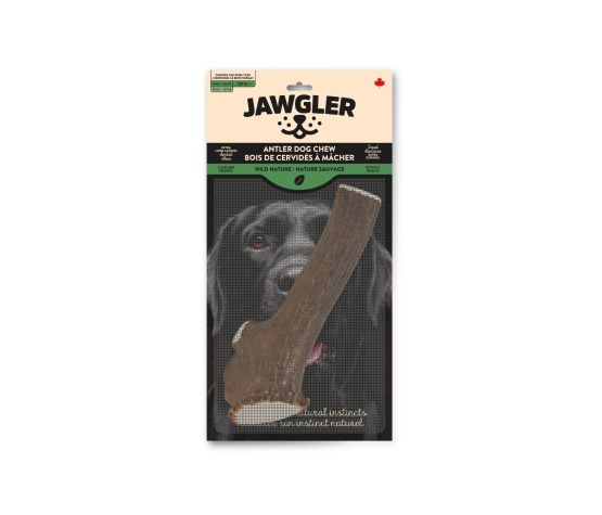 Jawgler Bois De Cervidés à Mâcher, Entier - Nature Sauvage, Géant