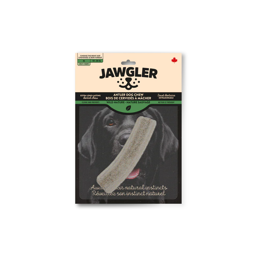 Jawgler Bois de cervidés Goût Nature Sauvage Moyen