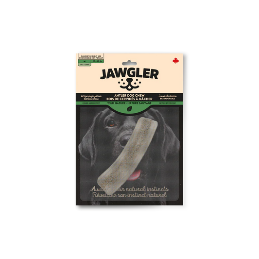 Jawgler Bois de cervidés Goût Nature Sauvage Moyen