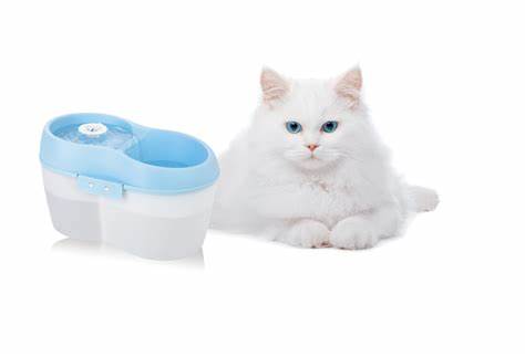 H2o Fontaine pour chat 2L Bleu