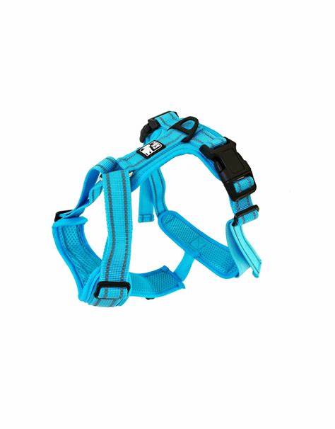 The White Dog Charlie Blue Harness, Large