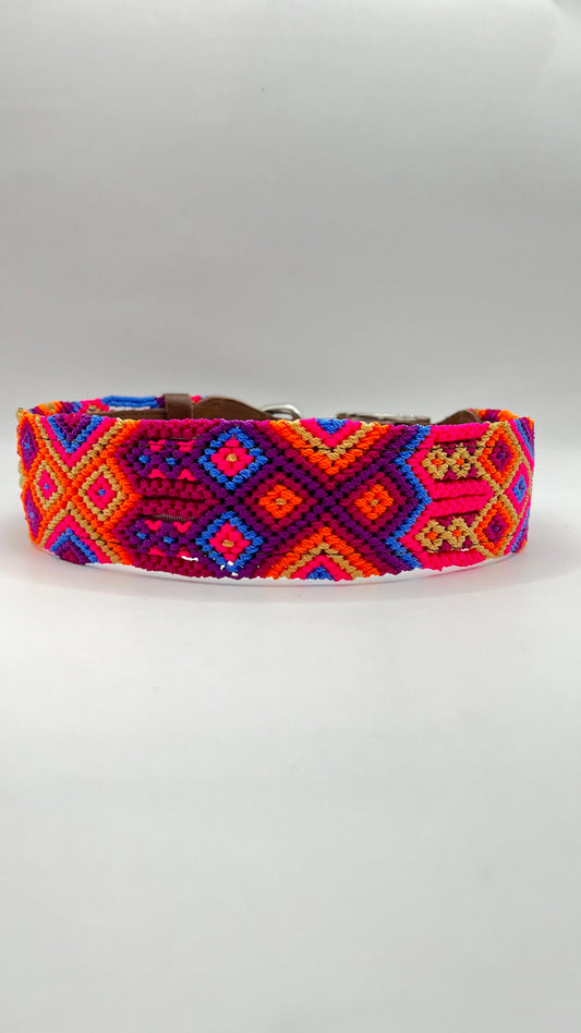 Bugi Collier Jalisco Santa Anita Très Grand 20.5-25"