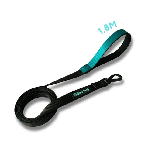 Bugi Laisse Confort de Randonnée 6" Bleu