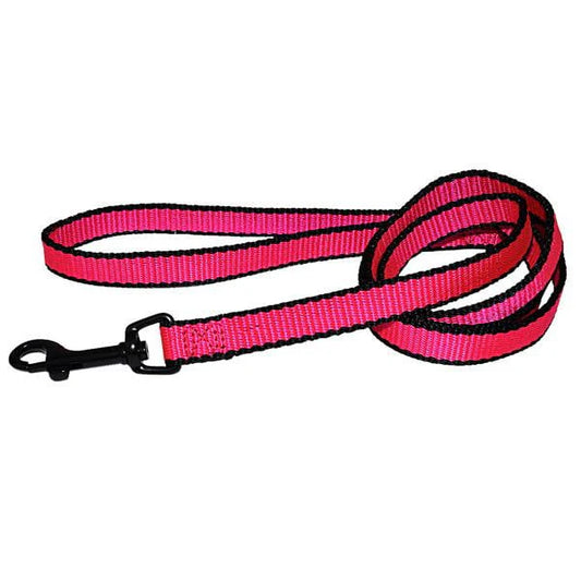 Hamilton Laisse Rose Néon 1x48"