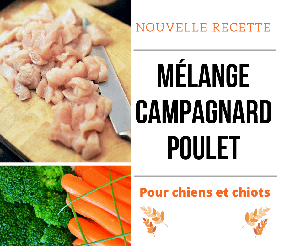 Karbur Poulet Campaganrd 10lbs